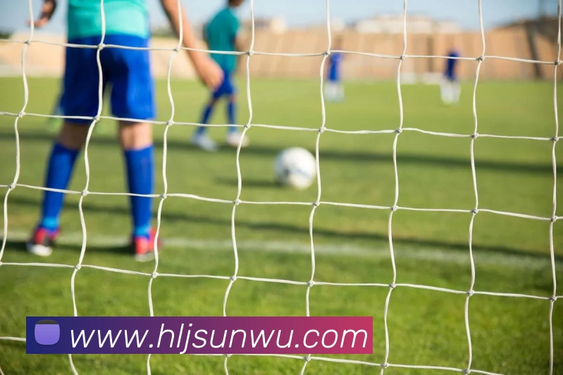 爱游戏体育全站发展历程